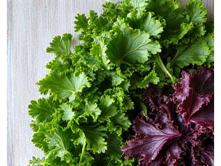 Assortment of dark leafy greens like kale and spinach, emphasizing nutrient density.